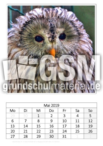 Mai_Habichtskauz.pdf